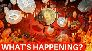 Crypto Bloodbath Continues, But Why? Mike Novograt'z New Hire - Today's Crypto News