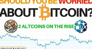 Should You Be Worried About Bitcoin? 2 Altcoins On The Rise - Technical Analysis