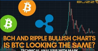 BCH and XRP Bullish charts! Is BTC the same? Bitcoin Technical Analysis