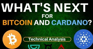 Positive Vibe: What's Next for Bitcoin & Cardano + (ARK, GVT, QSP)