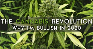 The Cannabis Revolution | Why the pendulum is swinging in 2020.
