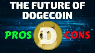Dogecoin: PROS AND CONS & Its Future - Cryptocurrency To Be Taken Seriously?