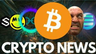 Bakkt Delayed, Joe Rogan on BTC, GRIN, HOLO Mainnet, ENJ RPG, wallet swap - Crypto News
