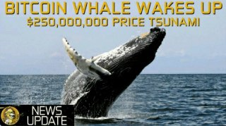 Bitcoin Whale $250,000,000 Moved - Price Tsunami Coming?