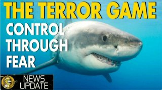 Australian Encryption Bill - Terrorism, Sharks, & Decentralization