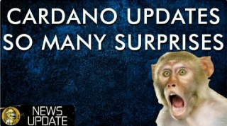Cardano ADA - Big Updates & Growing Adoption In Spite of Price