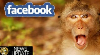 Shock Facebook Reversal, Bitcoin Viral Epidemic, Russian Election Meddling - Bitcoin & Crypto News