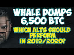 Whale Dumps 6,500 Bitcoin - Which Alt Coins Should Perform in 2019/2020 and When?