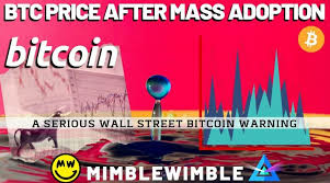 BTC Price After MASS ADOPTION | What is Mimblewimble? Winklevoss Twins Bitcoin News