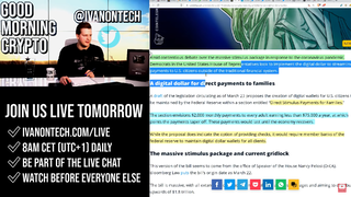 WOW!! DIGITAL DOLLAR 2020 - THIS IS BAD!! programmer explains.