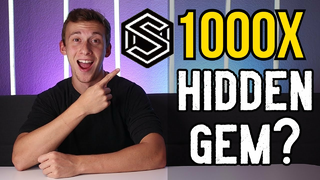 The Next 1000x Altcoin?! Blockchain Data Storage w/ Sharder!
