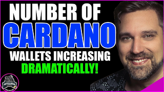 Number Of Cardano ADA Wallets Increasing Dramatically! 😱