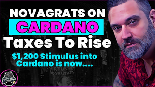 Novagratz on Cardano - Taxes About To Rise - TwistedTimes NFTs