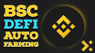 New DeFi Platform launches on BSC | Borrow and Lend Crypto Assets