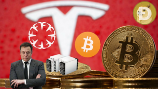 Sustainable Crypto Tokens emerge after Elon Musk Tesla BTC Mining FUD