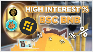 Earn HIGH INTEREST on your Crypto Coins on Binance Smart Chain!