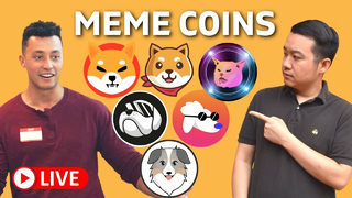 The Future of Meme Coins | Elon's Impact | Bullish or Bearish? | Crypto Regulations