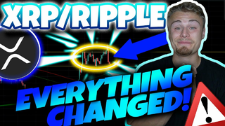 XRP RIPPLE HOLDERS! *THIS COULD CHANGE EVERYTHING!* YOU NEED TO PREPARE FOR THIS [In Case We Fall]