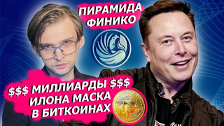 Криптовалютная пирамида Финико и Илон Маск с миллиардами долларов с биткоина