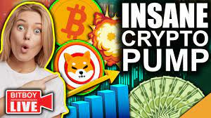 BITCOIN & CRYPTO PUMPING!! (Shiba Inu Burn Incoming?!)