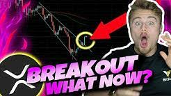 XRP RIPPLE HOLDERS! *WE JUST PUMPED!* WHAT NOW? BITCOIN & XRP HEADED WAY HIGHER IF THIS HAPPENS.