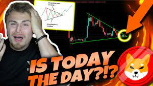 SHIBA INU HODLERS *IN LESS THAN 24 HOURS!* WE SHOULD SEE THE PRICE EXPLODE! (In Case We Fall)