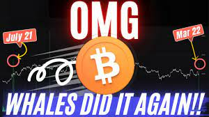 UNBELIEVABLE Bitcoin Whale Move!! Ethereum Progressing Well | Astar Microsoft Incubation