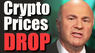 Crypto Gets Hit HARD + Elon Musk DOGE +Twitter News & Is The Future JUST Bitcoin?