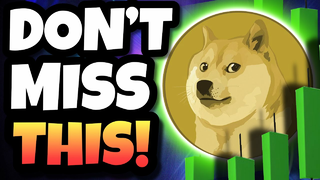 STRONG WARNINGS TO ALL DOGE COIN HOLDERS AND INVESTORS!!