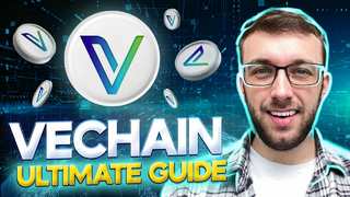 VeChain Explained | The Future Of Sustainability (Blockchain 101)