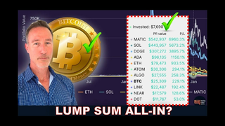 LUMP SUM VS. DCA & PORTFOLIO RESULTS. NEAR PROTOCOL UP BIG.